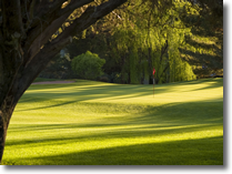 Canyon Mesa Golf Course